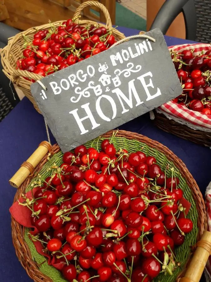 مبيت وإفطار Torreglia Il Borgo Dei Molini فندق مبيت وإفطار