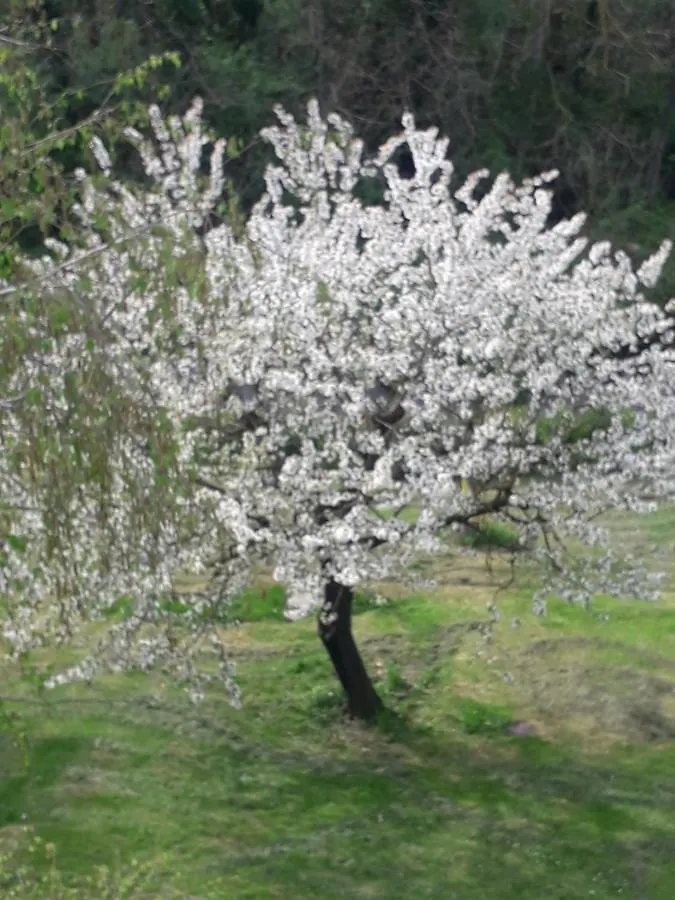 مبيت وإفطار Torreglia Il Borgo Dei Molini 0*,