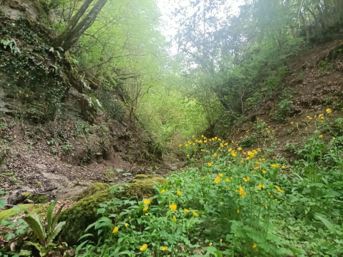 مبيت وإفطار Torreglia Il Borgo Dei Molini إيطاليا